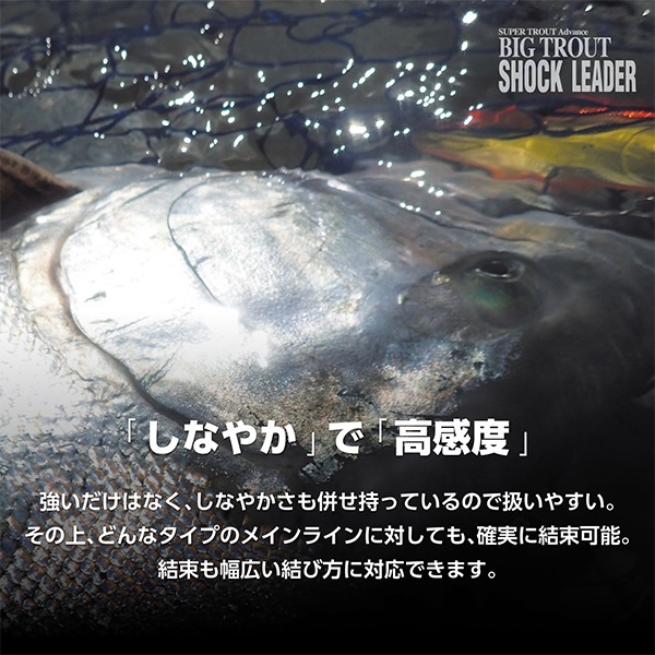 ビッグトラウトショックリーダー VSPフロロ